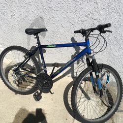 Mountain bike