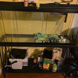 100 Gallon Fish Tank w/stand 