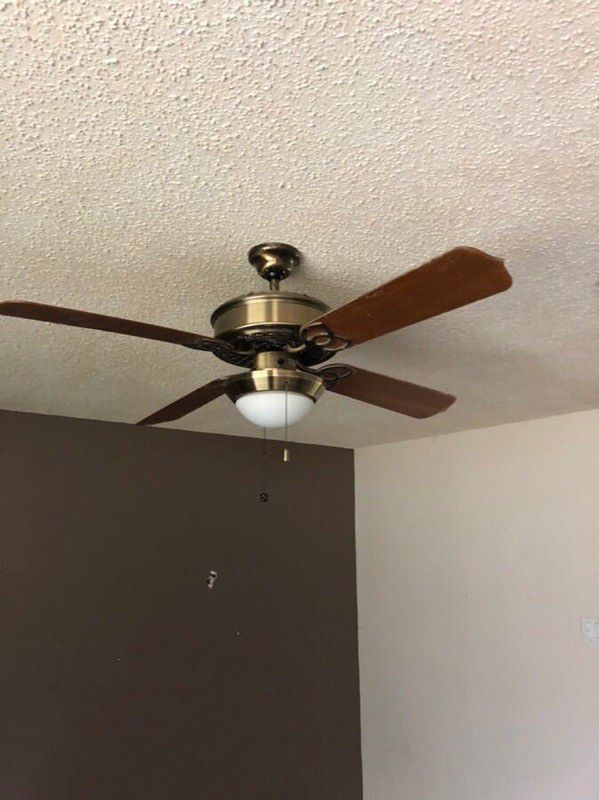 Ceiling fan/ Chandelier lighting