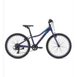 Liv Mountain bike 24 - Aura HOME / ENCHANT 24 LITE ASTRAL AURA 