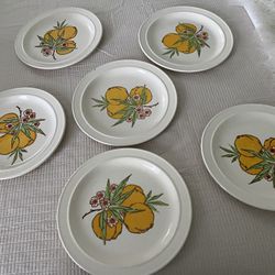 Six vintage Homer Laughlin1979 plates