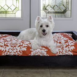 Personalised wooden dog bed online