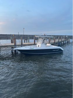 2005 Proline