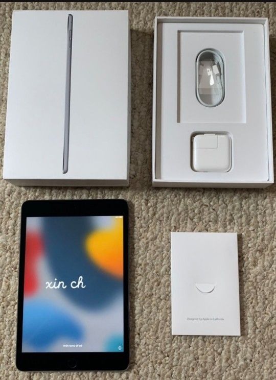 128 GB iPad Mini Gen 4