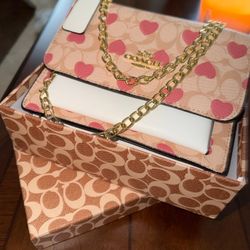 Designer Bags and Scarfs 