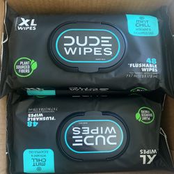 Dude Wipes Mint Chill 