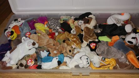Beanie babies