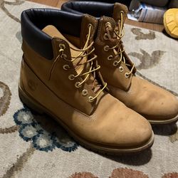 Size 12 Timberlands 