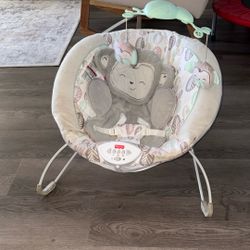 Baby Bouncer 