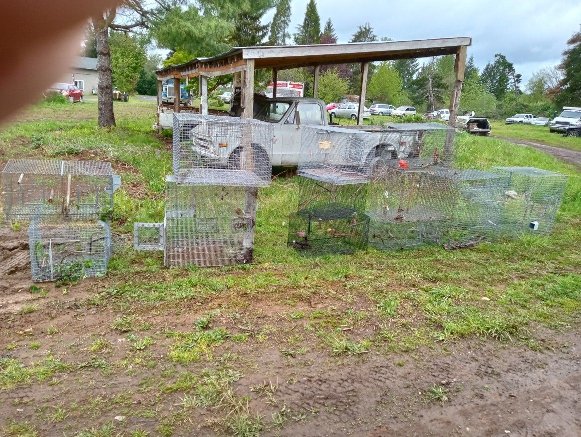 Large And Small Size Animal Cages $10