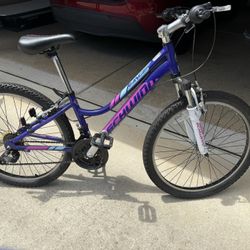 24” Girls Bike