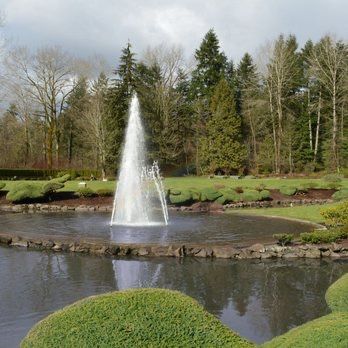 Cemetery Burial Plots