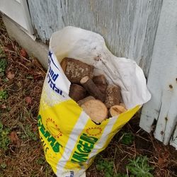 Plum Fruit Wood For Smoker