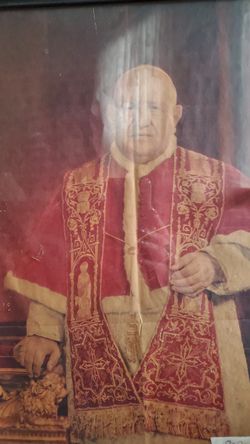 12×16 Pope John XXlll framed pic