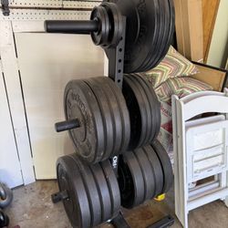 Bumper Plates + 4 Bars + Stand