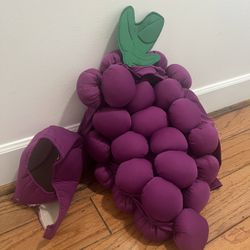 Toddler Purple Grape Costume,  with full sleeves and a matching Hat! 
