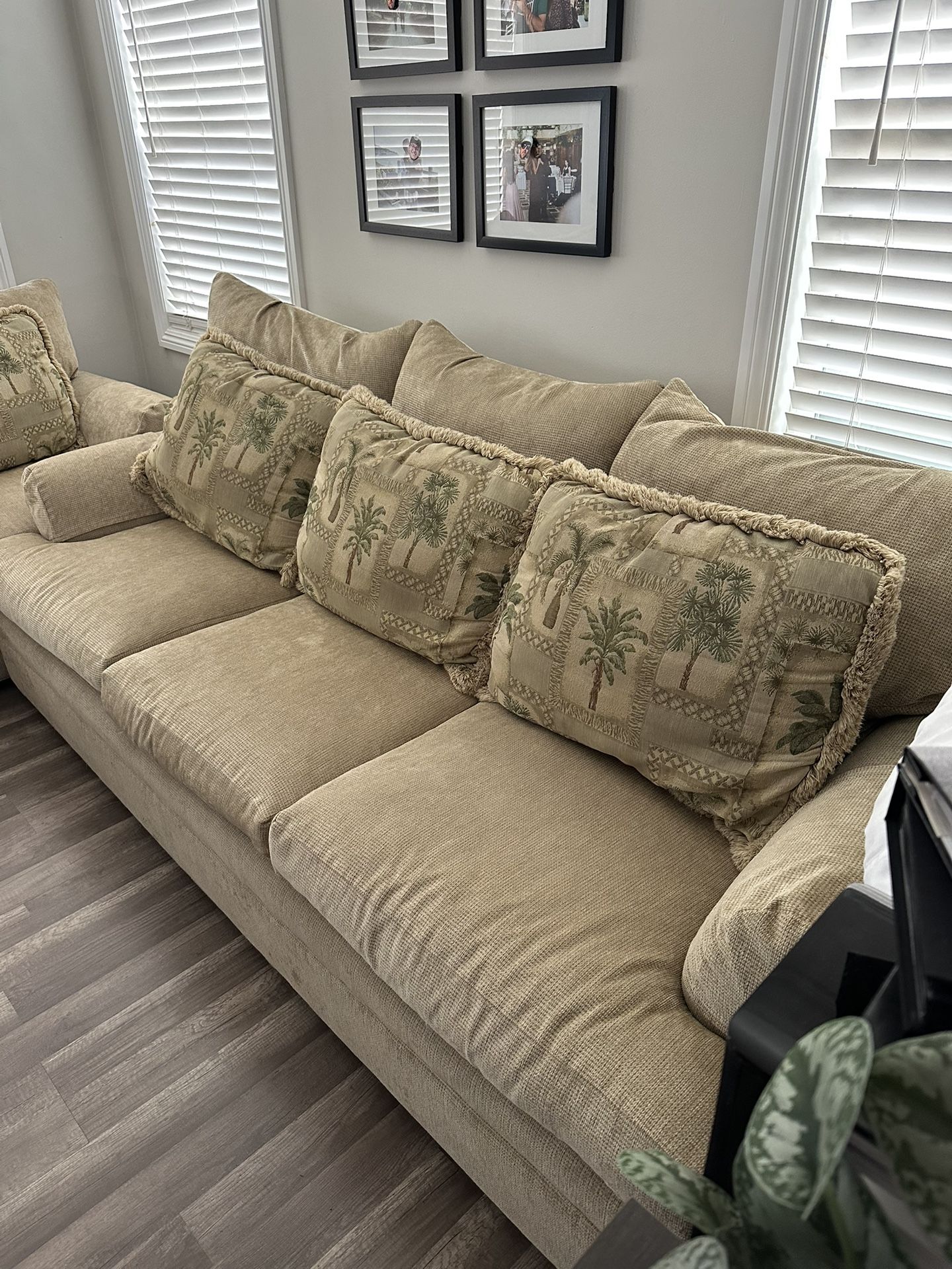 Tommy Bahama Couches