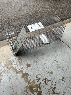 Havahart Live Animal Cage Trap