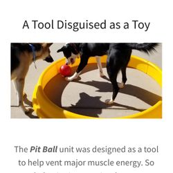 Puppy Playground Pit Ball