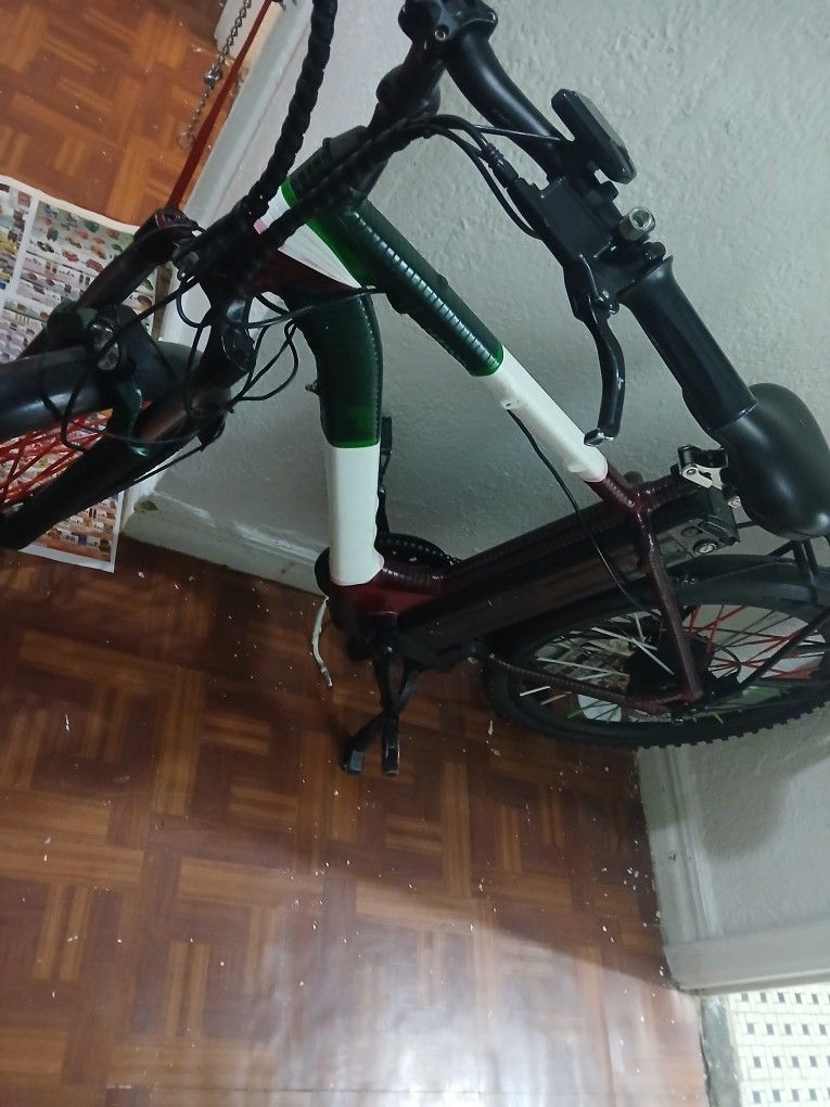 Electric Bike