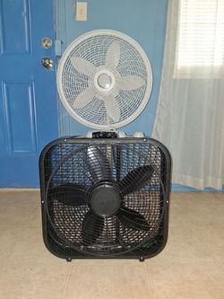 fans