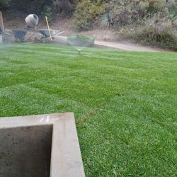 Irigation And  Grass