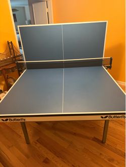 Butterfly club Ping Pong table. W/ Newgy Robo-Pong