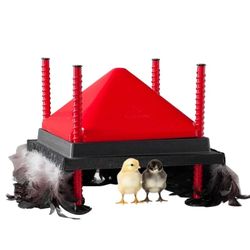 Chick Brooder Heating Plate for Baby Poultry
