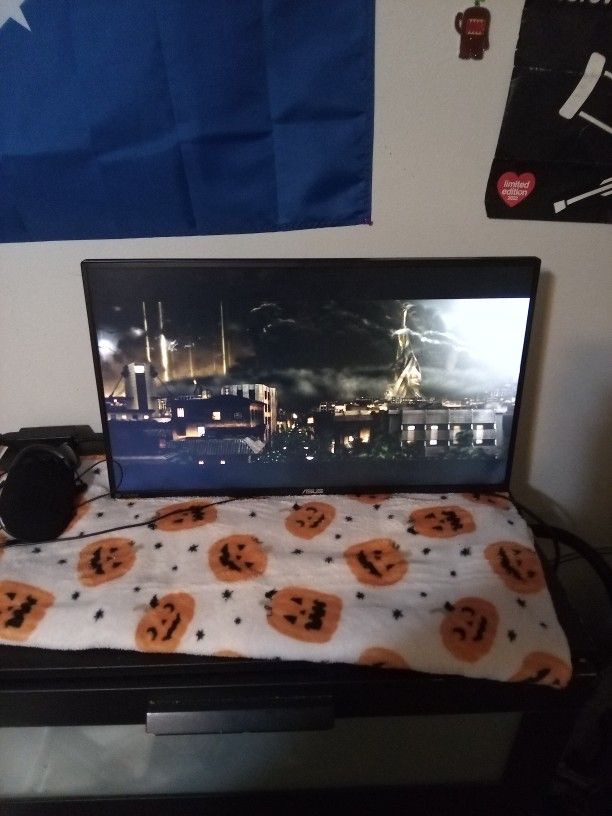 Asus Computer Monitor 