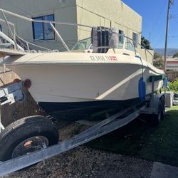 2005 Johnson 150HP   Walk around Boat