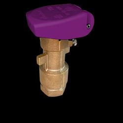 Buckner Quick Coupling Valve 1 in. ACME Inlet Single Slot with Reclaimed Purple Locking Cover