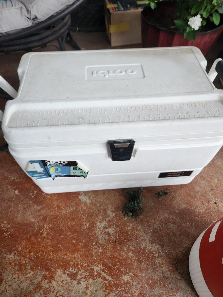 Cooler