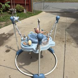 Baby Einstein 