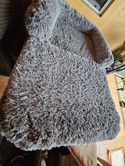 Pet bed large