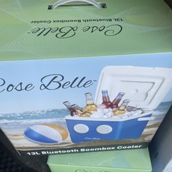 13L Cooler Bluetooth 