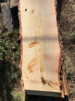 Ponderosa live-edge slabs