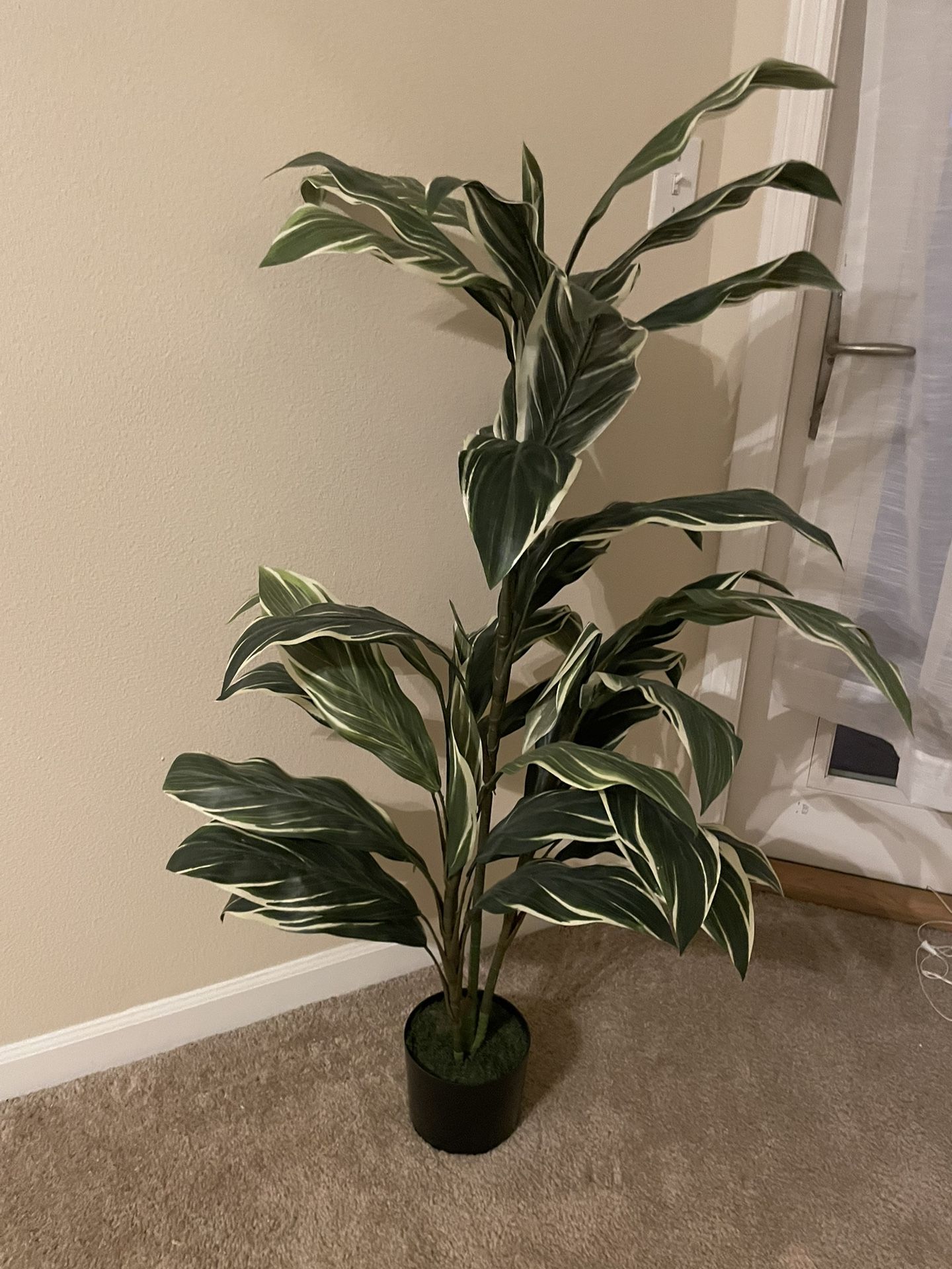 fake plant 