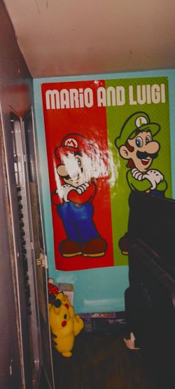 Brand new mario and luigi poster - Read description
