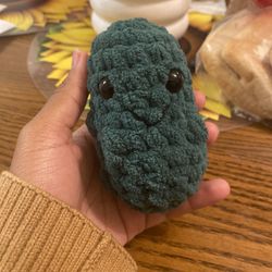 Hand Knitted Comfort Pickle 