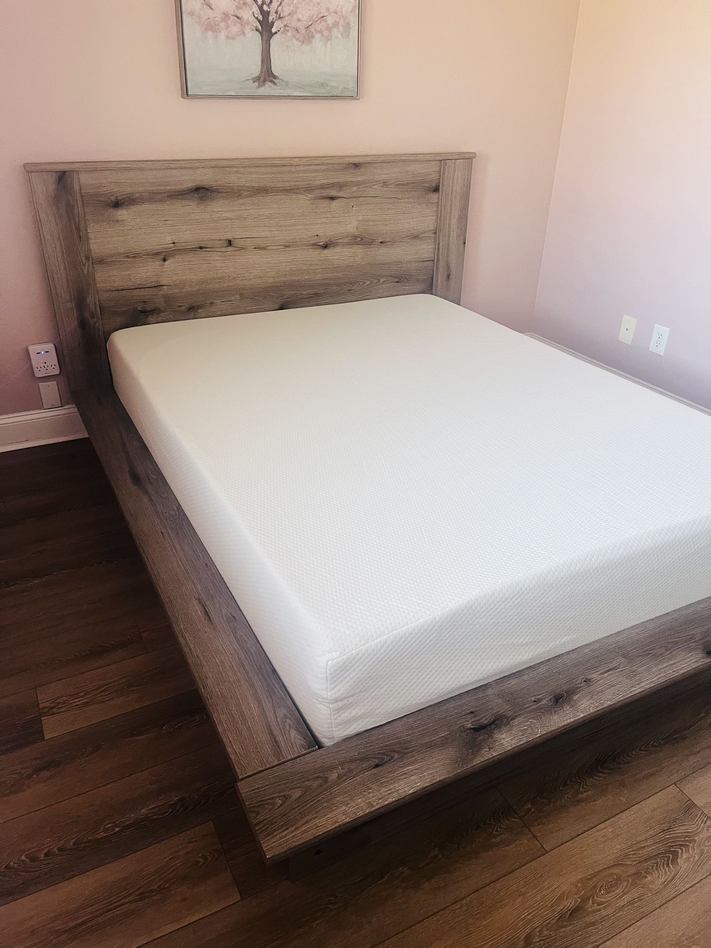 Queen Firm Mattress - No Pete , No Stains