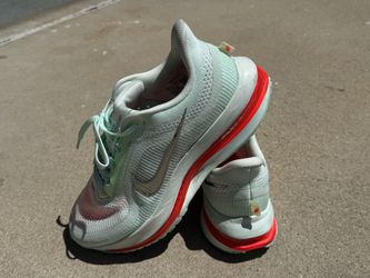 Nike Pegasus Premium Men 9.5