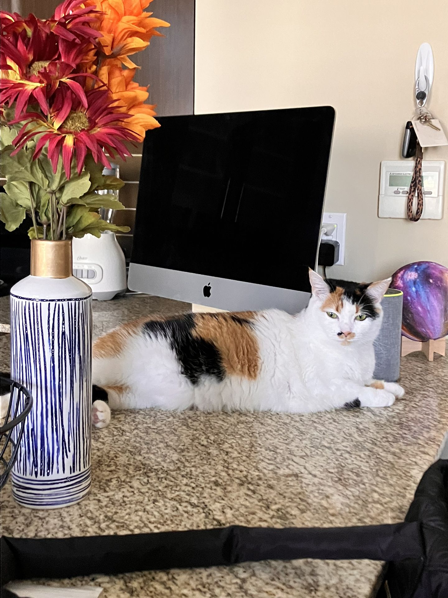 Mac Desktop  Computer