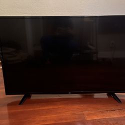 LG TV 49in