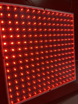 Grow Lights Red $20.00 For 2