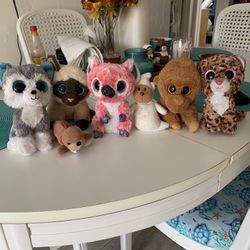 Beanie Baby Collection