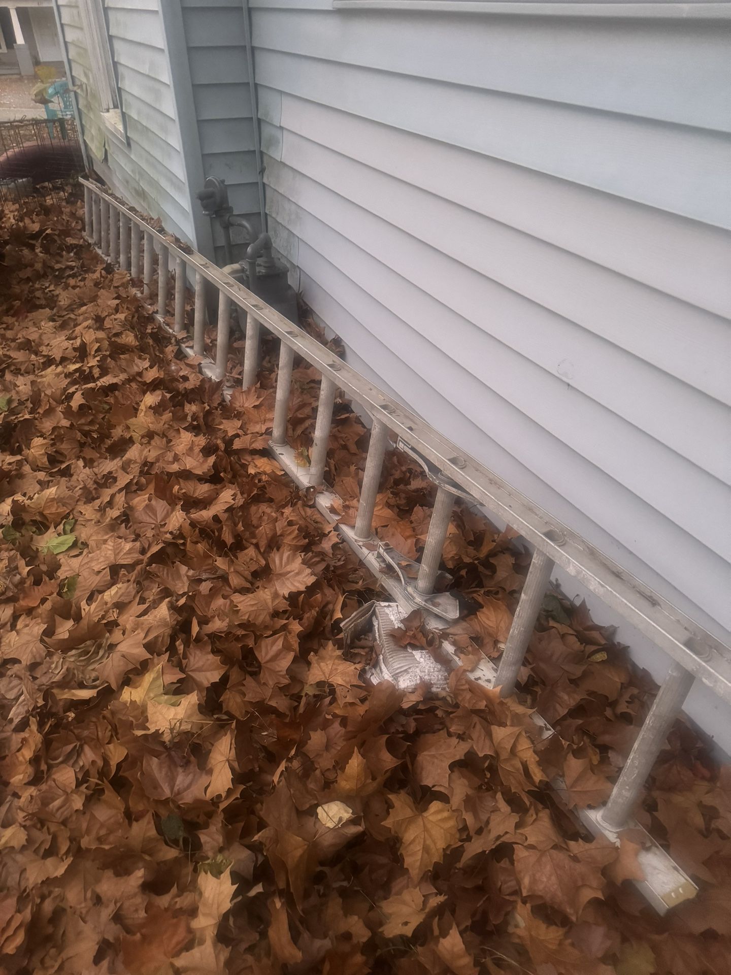 Ladder