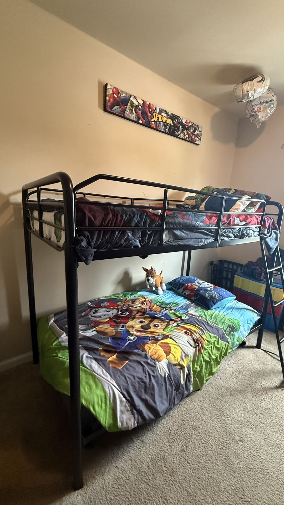 Bunk bed (bedding and picture optional)
