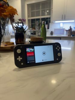 Nintendo Switch Lite Gray Handheld Console
