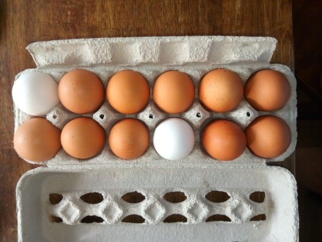 Farm Fresh Eggs