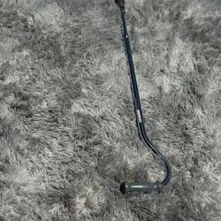 Silver Cane 